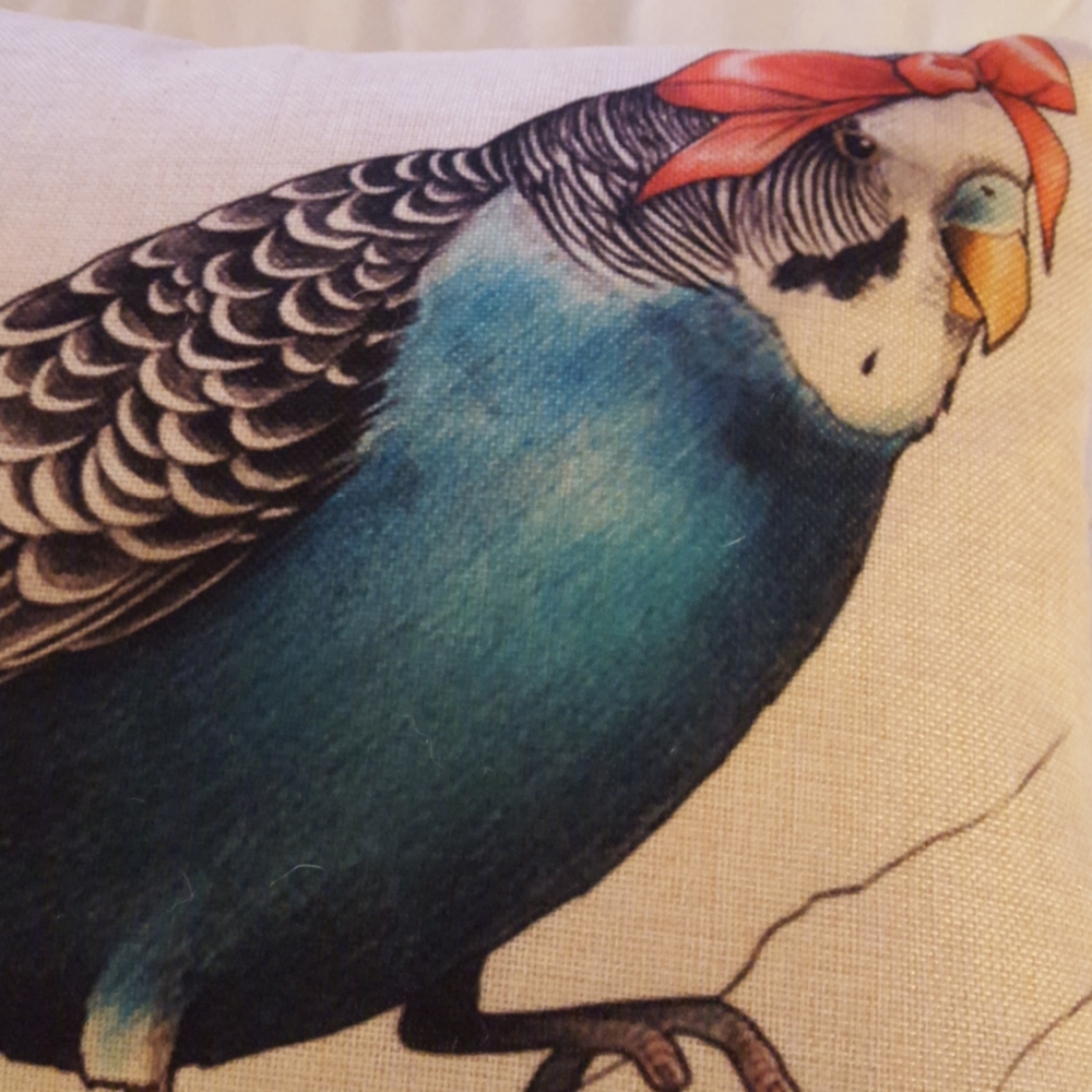 Accent Pillow